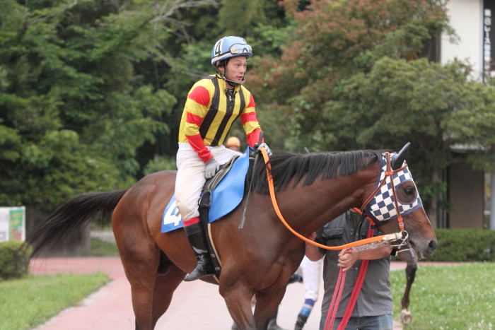 2012年5月19日(土) 高知競馬 8R シアターの女神様協賛 平嶋夏海誕生日特別 B-4_a0077663_1412207.jpg