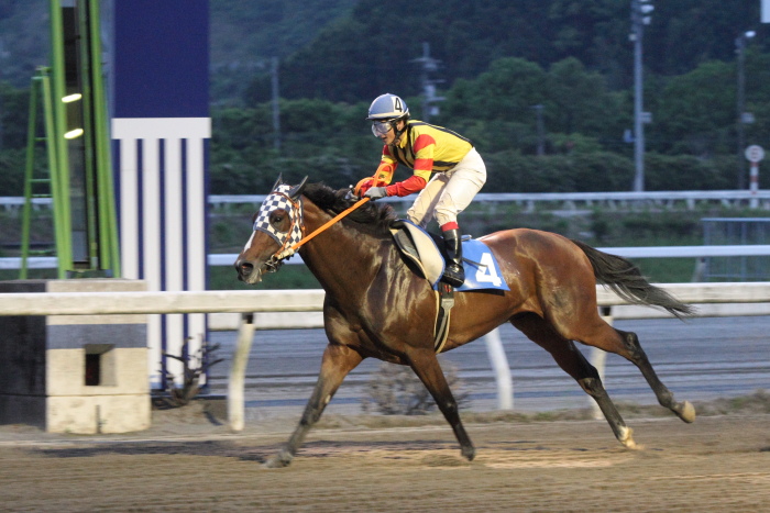 2012年5月19日(土) 高知競馬 8R シアターの女神様協賛 平嶋夏海誕生日特別 B-4_a0077663_14131783.jpg