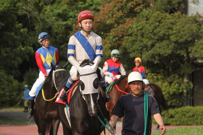 2012年5月18日(金) 高知競馬 4R 天狗高原特別 A-2_a0077663_7213338.jpg