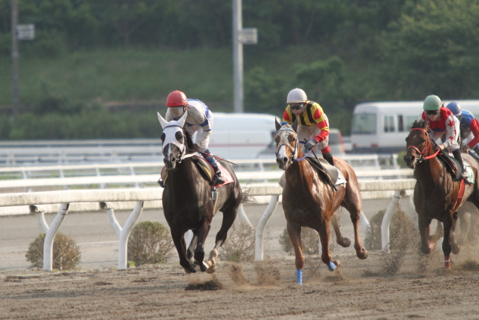 2012年5月18日（金） 高知競馬 4R 天狗高原特別 A-2_a0077663_7215598.jpg