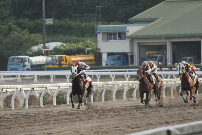 2012年5月18日（金） 高知競馬 4R 天狗高原特別 A-2_a0077663_7221577.jpg