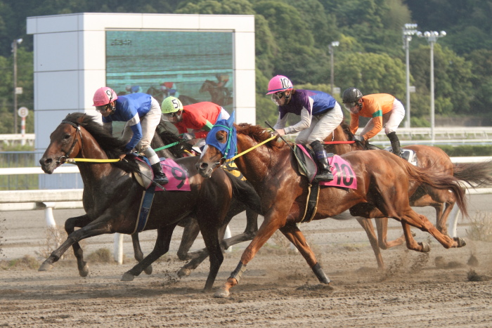 2012年5月18日（金） 高知競馬 4R 天狗高原特別 A-2_a0077663_722211.jpg