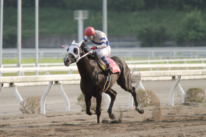 2012年5月18日(金) 高知競馬 4R 天狗高原特別 A-2_a0077663_7222331.jpg