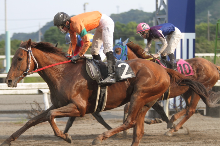 2012年5月18日(金) 高知競馬 4R 天狗高原特別 A-2_a0077663_7223323.jpg