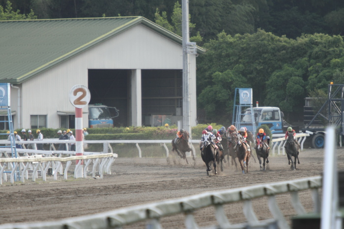 2012年5月18日（金） 高知競馬 4R 天狗高原特別 A-2_a0077663_722832.jpg