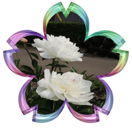 b0086765_1810671.png