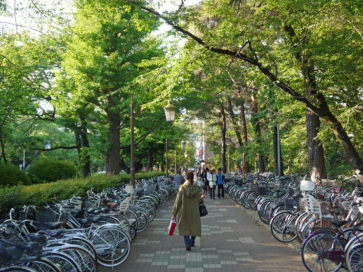 一橋大学の第7回ホームカミングデーに初参加（5・12） : 北鎌倉湧水 