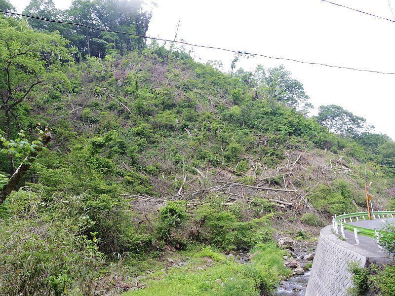 b0084270_038529.jpg
