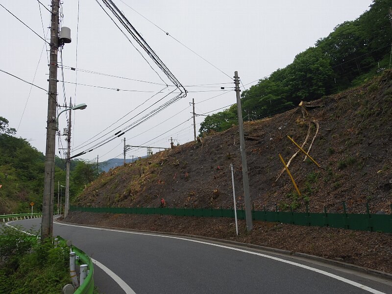b0084270_039014.jpg