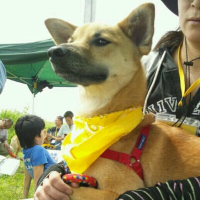 f0238772_10531613.jpg