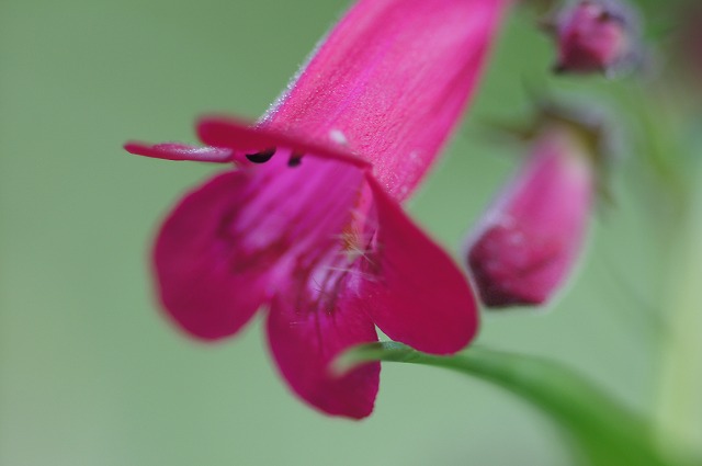 e0181373_21133841.jpg