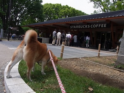 日食&上野の森_a0193175_1348145.jpg