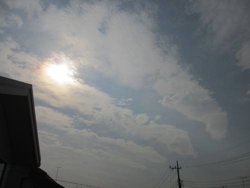 金?環日食_b0187479_8592671.jpg