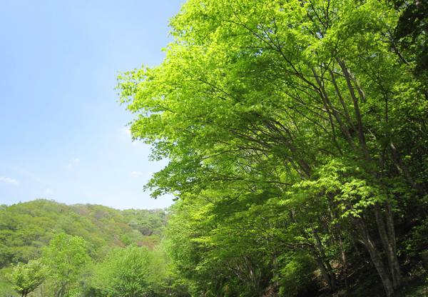 深山ダム&沼原発電所_c0218879_18412167.jpg