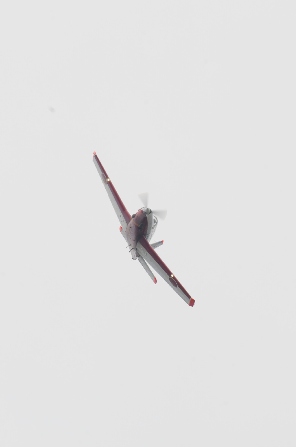 f0097981_823186.jpg