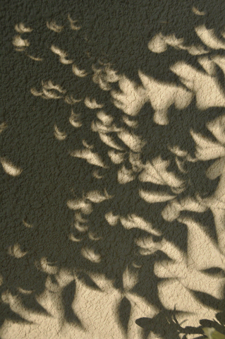 a0275782_931094.gif