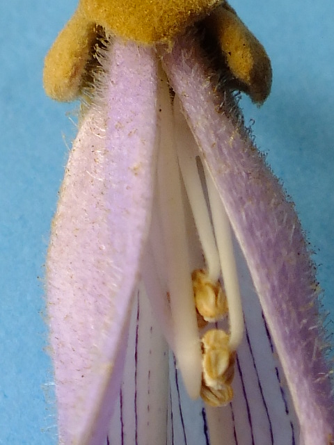 e0145782_183567.jpg