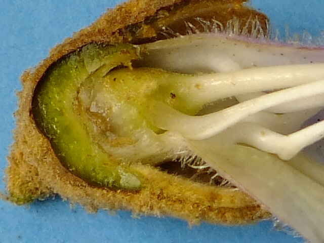 e0145782_185915.jpg