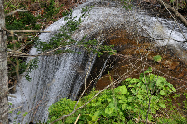 f0212586_7455986.jpg