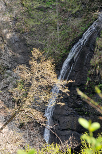 f0212586_745736.jpg