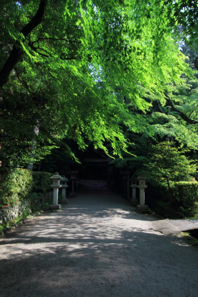 大田神社_e0051888_200681.jpg