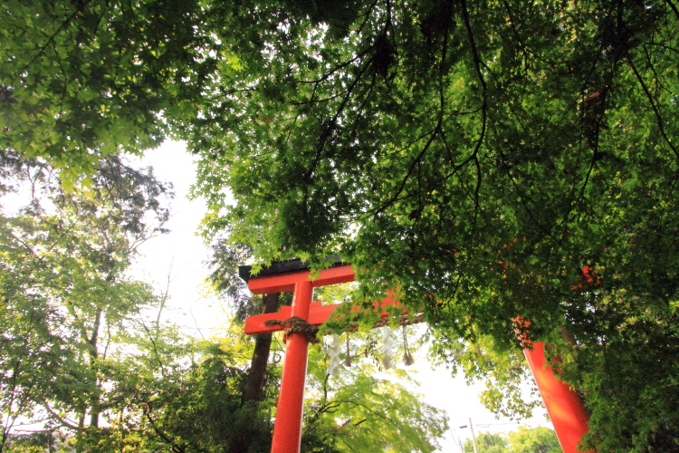 大田神社_e0051888_2011480.jpg