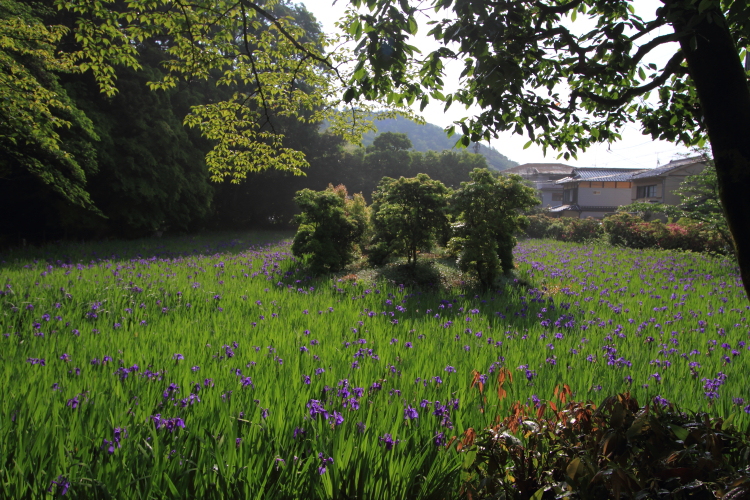 大田神社_e0051888_2011483.jpg