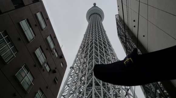究極のアングル_a0183592_1416897.jpg