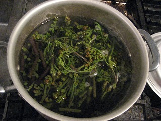d0074596_1455104.jpg