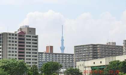 2012年5月22日（火） ； 曇り～雨_d0051601_1364975.jpg