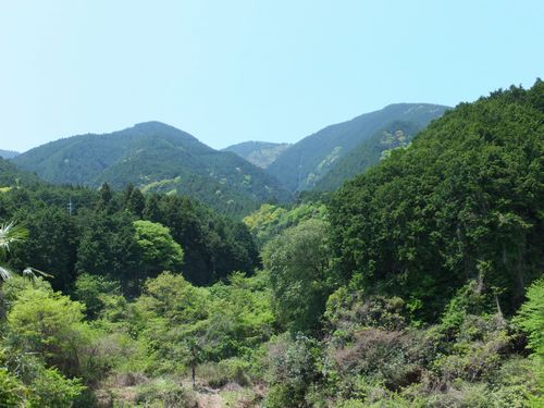 f0120102_224346.jpg