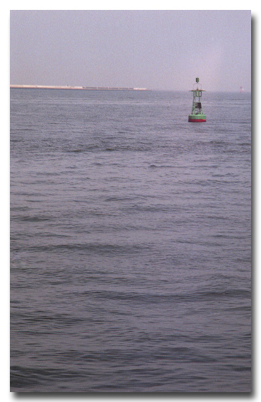e0175405_6192481.jpg