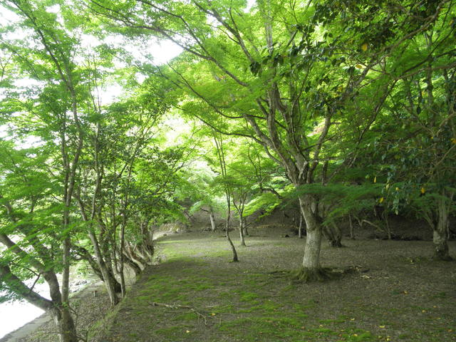 a0189513_21254515.jpg