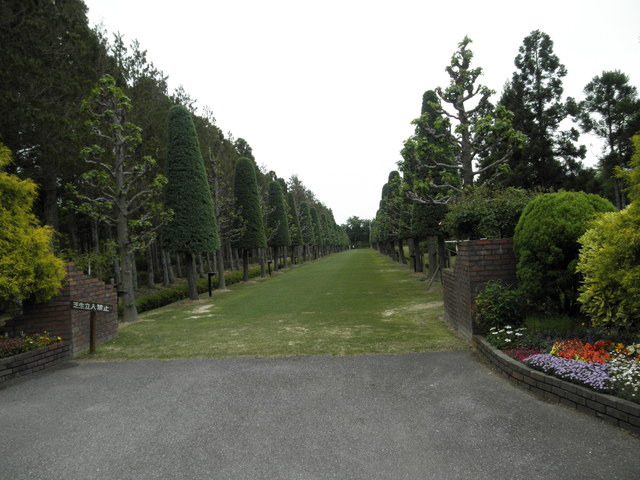 a0189513_2154392.jpg