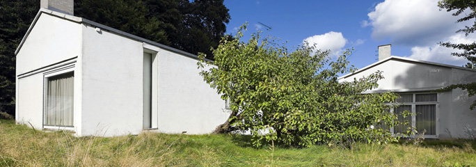 b0074416_035498.jpg