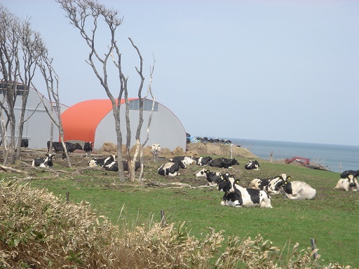 f0000521_4354543.jpg