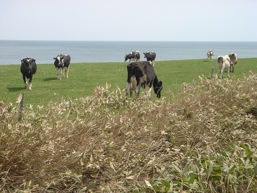 f0000521_4385887.jpg