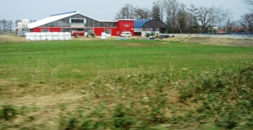 f0000521_55243.jpg
