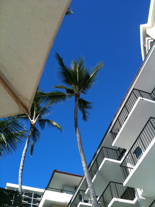 f0215324_0181131.jpg