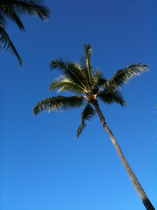f0215324_0451475.jpg