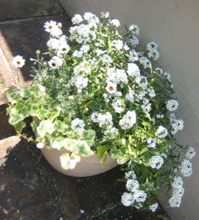 f0221927_11344366.jpg
