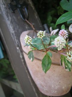 f0221927_11381682.jpg