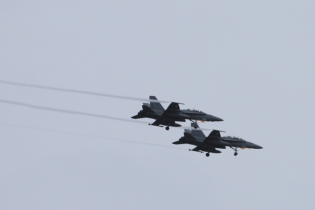 a0152631_1735478.jpg