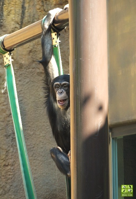 5月12日の動物たち_a0230833_17163114.jpg