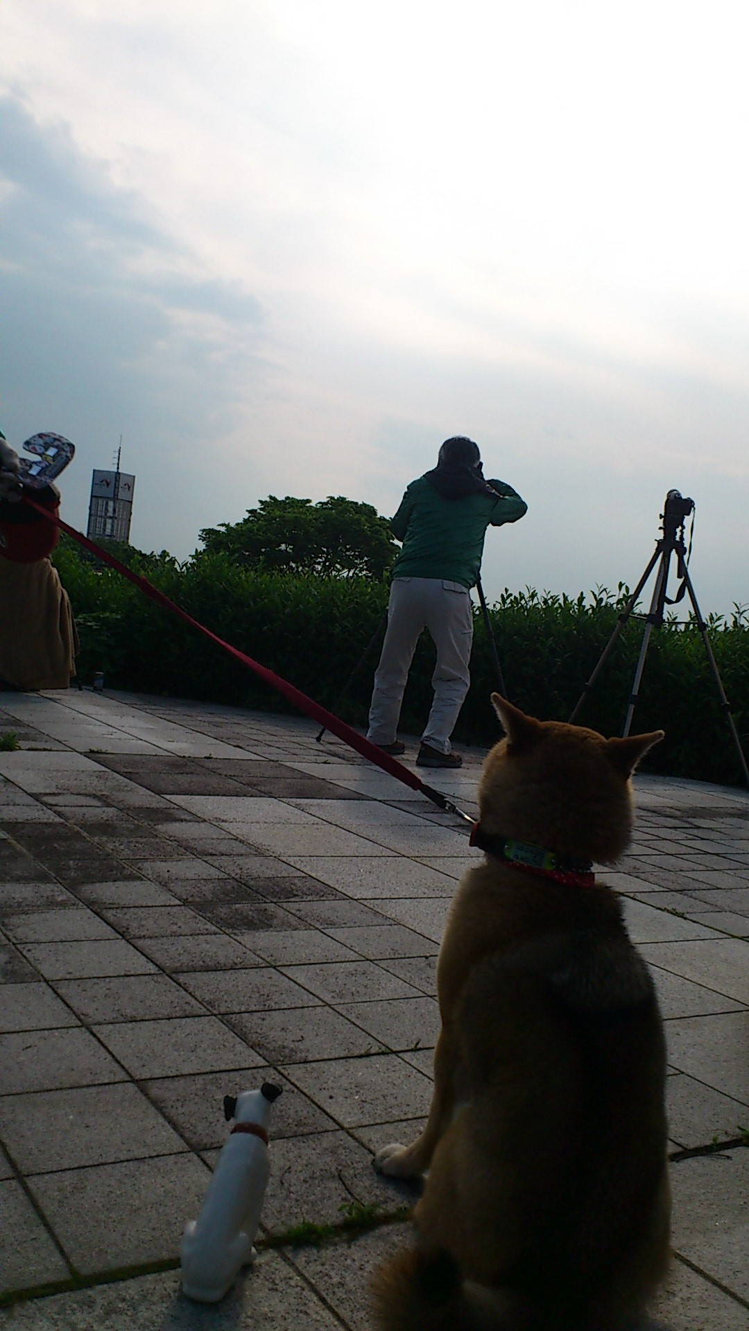 見えました!ありがとう_b0197533_15391089.jpg