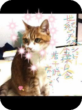 e0255638_1658180.gif