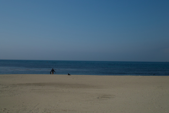 d0237340_6584555.jpg