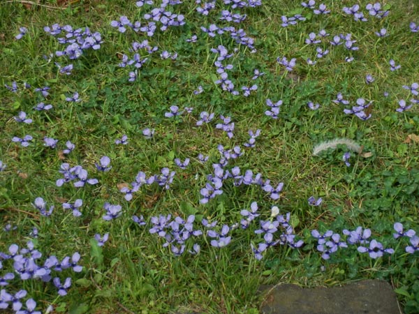 c0047341_10152225.jpg