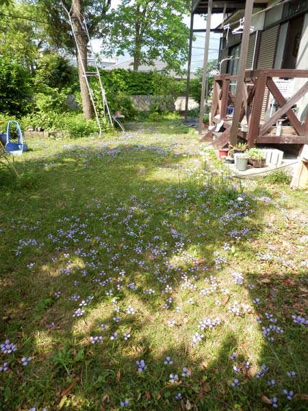 c0047341_10153539.jpg
