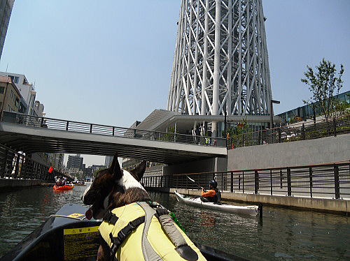 アクアでスカイツリーツアー♪_f0094843_14162540.jpg